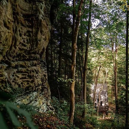 Dunlap Hollow A-Frame Rockbridge ภายนอก รูปภาพ