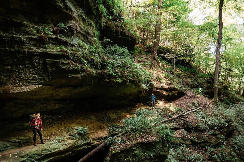 Dunlap Hollow A-Frame Rockbridge ภายนอก รูปภาพ