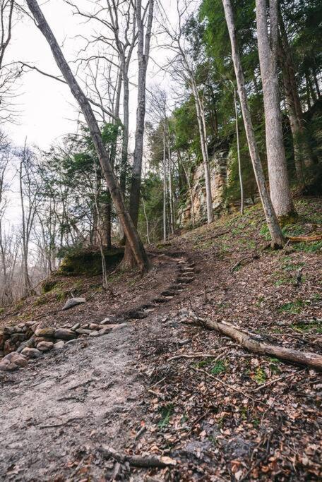 Dunlap Hollow A-Frame Rockbridge ภายนอก รูปภาพ