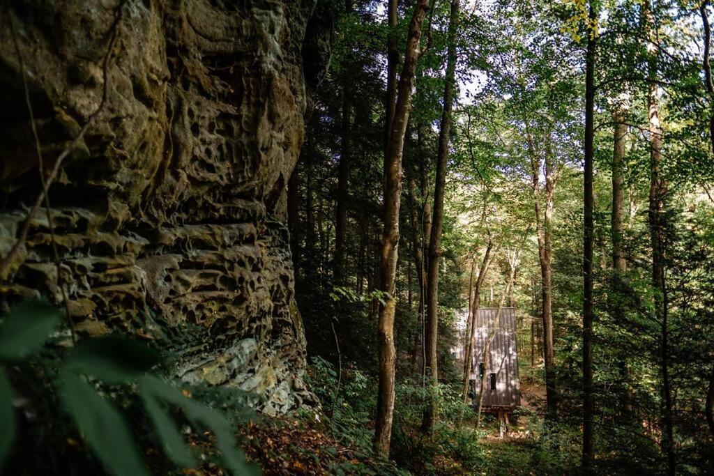 Dunlap Hollow A-Frame Rockbridge ภายนอก รูปภาพ