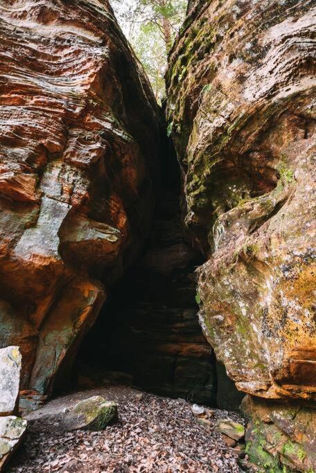 Dunlap Hollow A-Frame Rockbridge ภายนอก รูปภาพ
