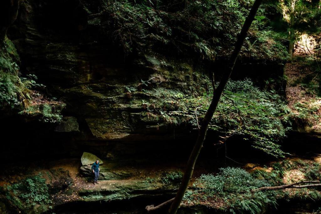 Dunlap Hollow A-Frame Rockbridge ภายนอก รูปภาพ