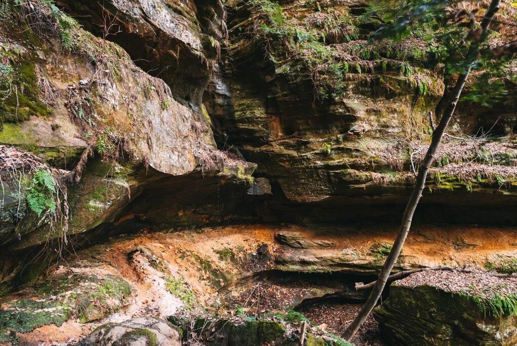 Dunlap Hollow A-Frame Rockbridge ภายนอก รูปภาพ